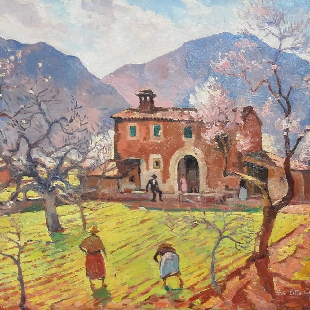 506- TITO CITTADINI